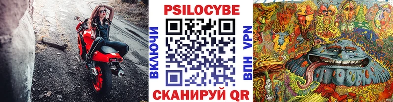 Купить закладки  Москва  Псилоцибиновые грибы MAGIC MUSHROOMS 
